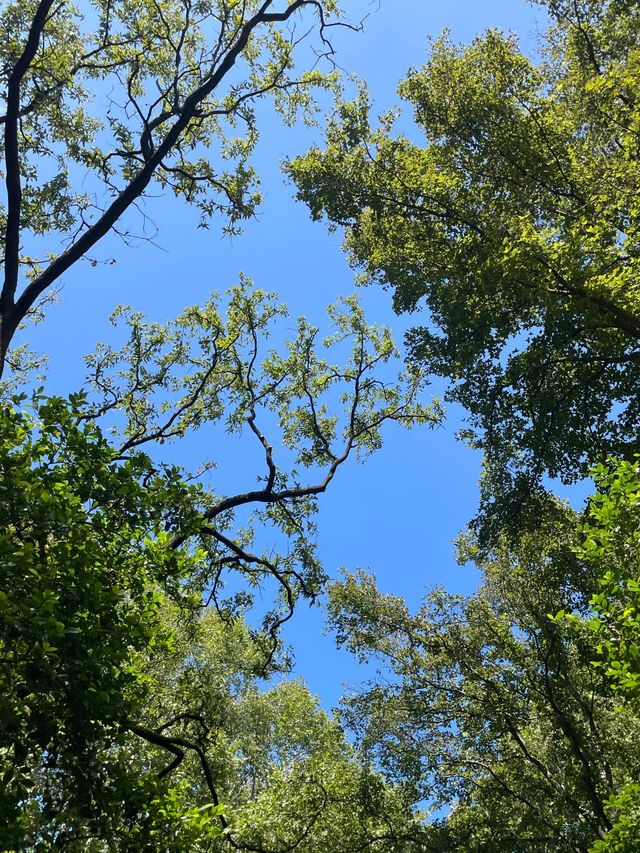 南京～古雞鳴寺～雞鳴寺真的邪門嗎？。