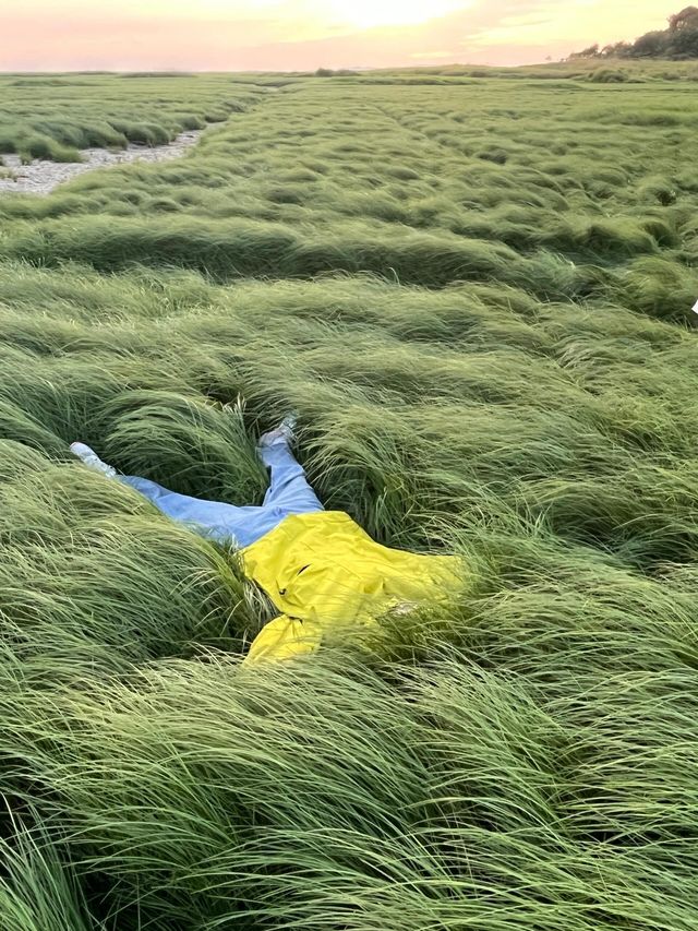 江西翻陽湖大草原 | 浪漫的草海和草浪。