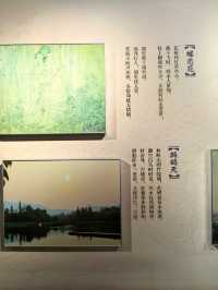 蘇軾的文學成就--宋代文學的巔峰。