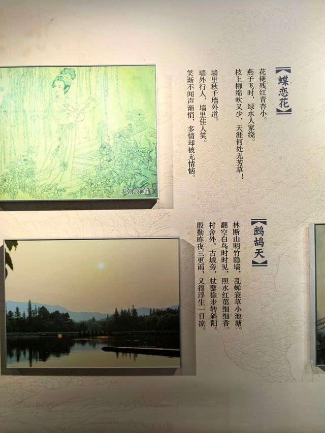 蘇軾的文學成就--宋代文學的巔峰。