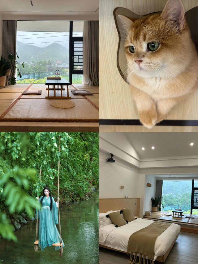 安吉！對自己訂的山林小院滿意得睡不著。