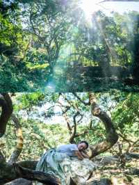 廣州1h直達丨現實版的「阿凡達」神秘仙境！。