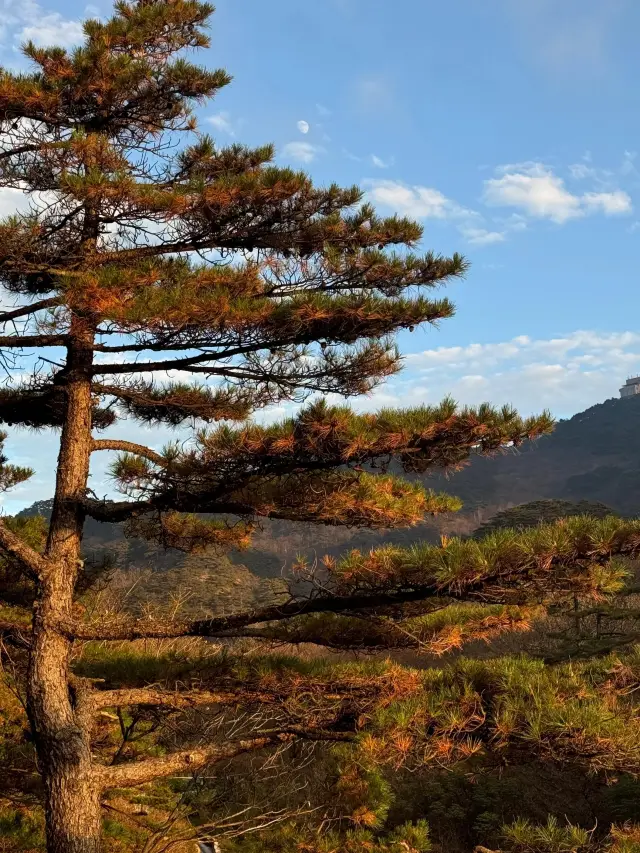 黃山‖夢幻仙境般的自然之旅。