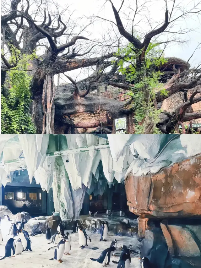 《國家地理》推薦的超好玩的主題樂園攻略都準備齊全了。