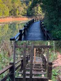 普洱梅子湖公園。