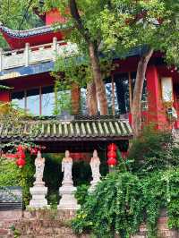 隱秘金龍寺：一場尋覓小眾禪意的心靈之旅。