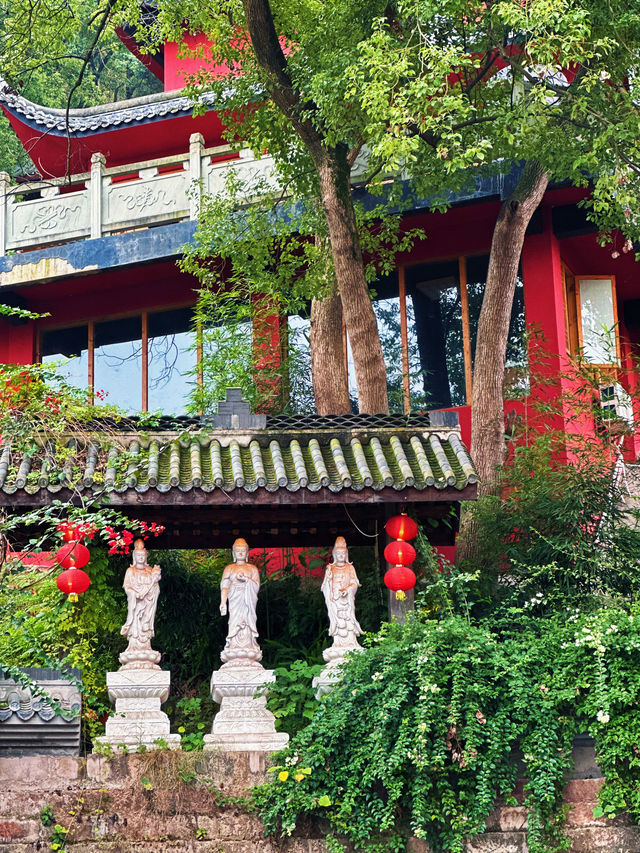 隱秘金龍寺：一場尋覓小眾禪意的心靈之旅。