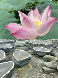 陽光海南，度假天堂丨儋州。