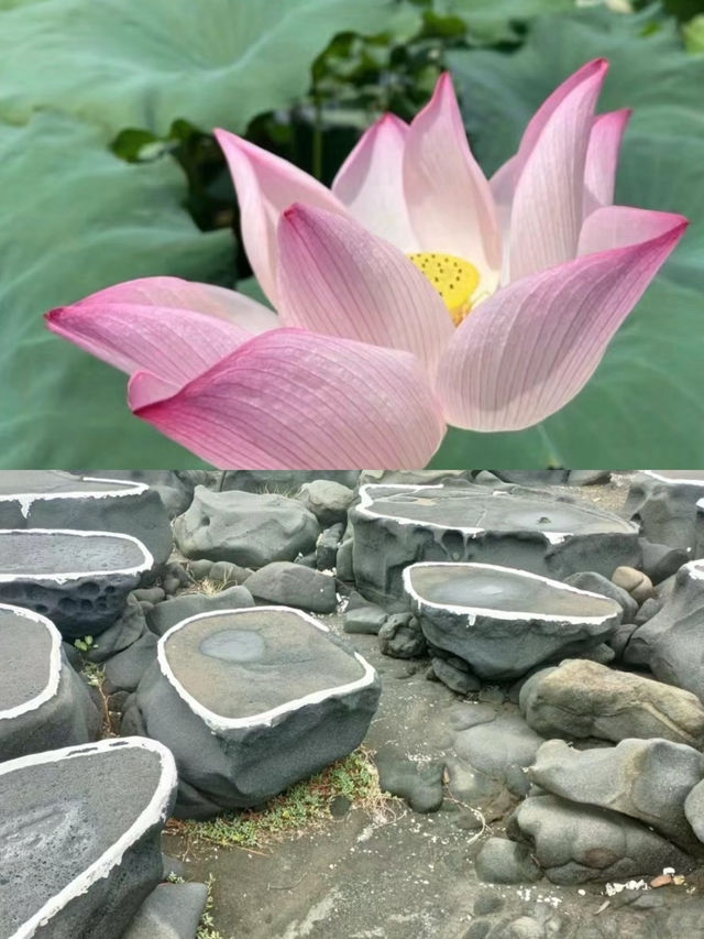 陽光海南，度假天堂丨儋州。