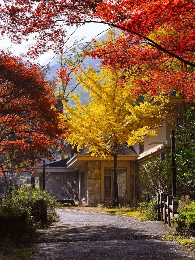 장씨 고택 티켓 할인, 운영 시간, 후기 [2025년] | Trip.com