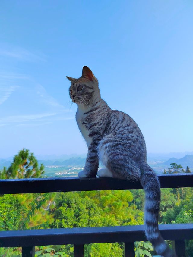 上來一起看風景｜大明山