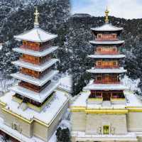 紅牆白雪中我在太原遇見了傳說中的天上宮闕