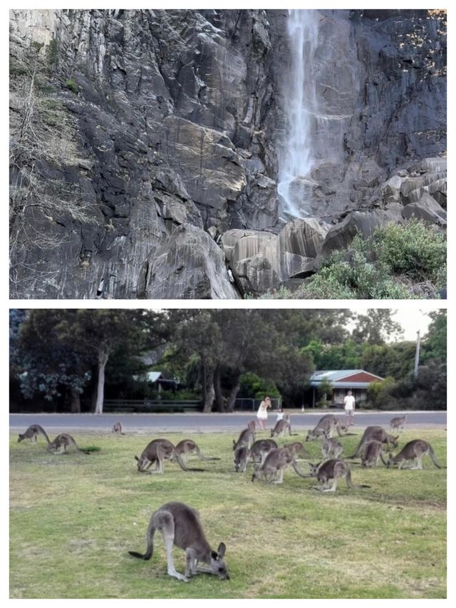 霍爾斯山谷旅遊行程