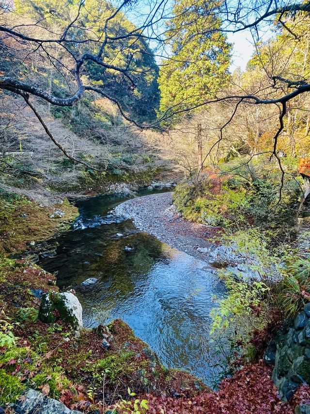 日本·京都高雄西明寺