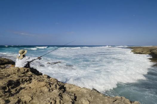 北海海釣：熱門風景全覽