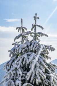 杭州牽牛崗徒步 霧凇 雪 雲海