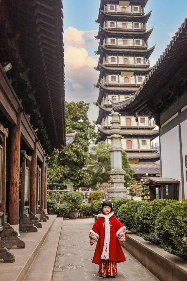 上海市區的真如寺銀杏葉落滿地啦
