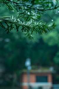 重慶石門公園遊玩