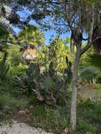 大島上的小植物園，人氣秘境