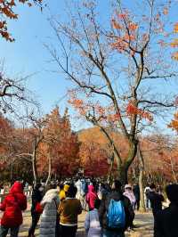 天平山森林步道