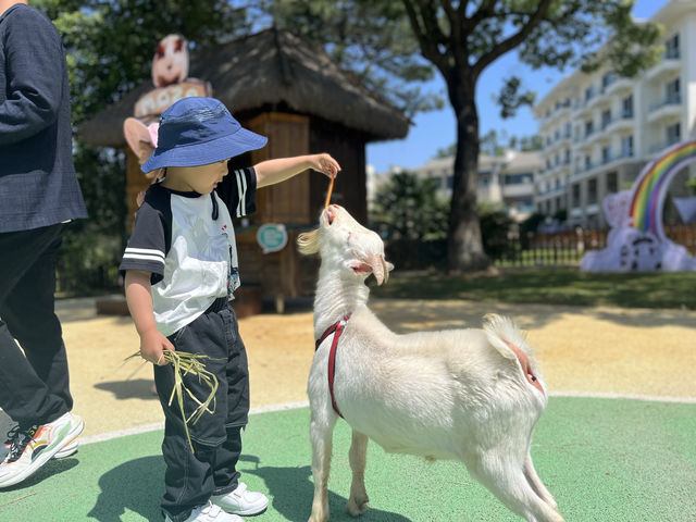 淡季嘅千島湖開元度假酒店，簡直太正了～