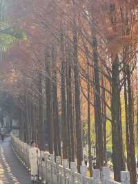 臨滄市玉龍湖公園