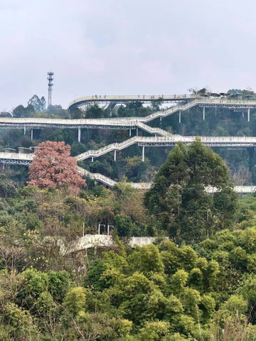 Longquanshan Urban Forest Park | The Lungs of the City, a Natural