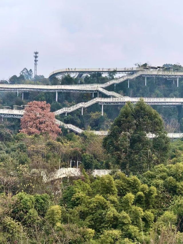 龍泉山城市森林公園｜城市綠肺，自然瑰寶