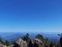 想體驗不一樣的旅行嗎？來大芹山吧！