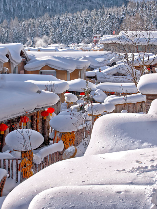 去雪鄉之前冇人同我講，呢度嘅"坑"比雪仲深