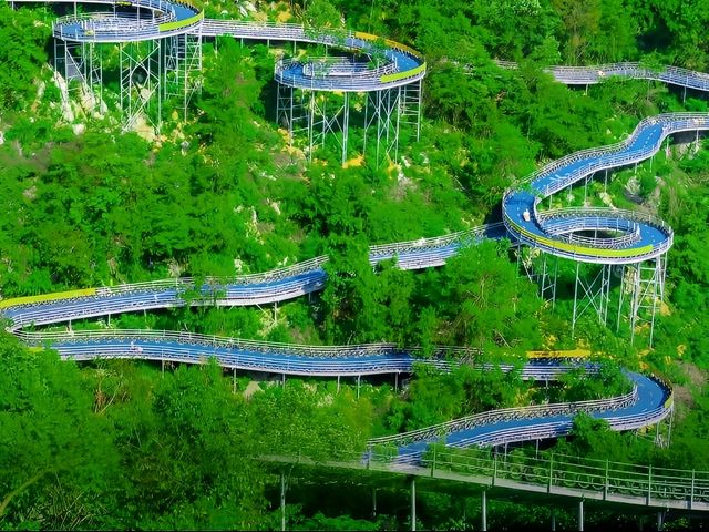 朋友圈被問瘋了｜都以為我在新西蘭