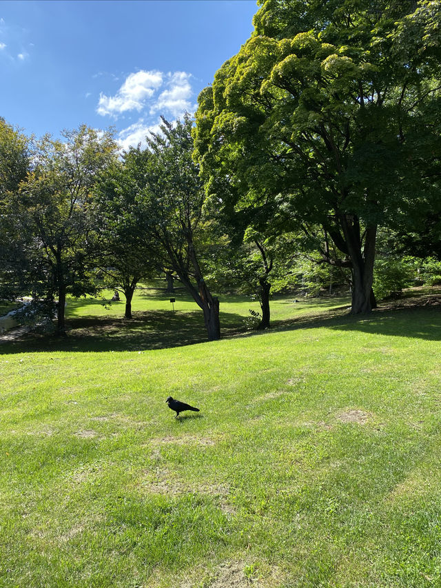 來札幌看最美校園 北海道大學