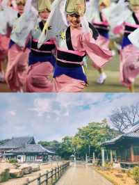 【櫻舞瀨戶·德島秘境綺夢】