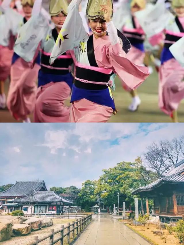 【櫻舞瀨戶·德島秘境綺夢】