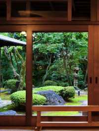 東京4日超全旅行攻略（附出行準備清單