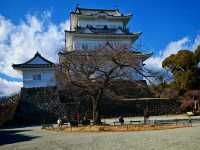 小田原城