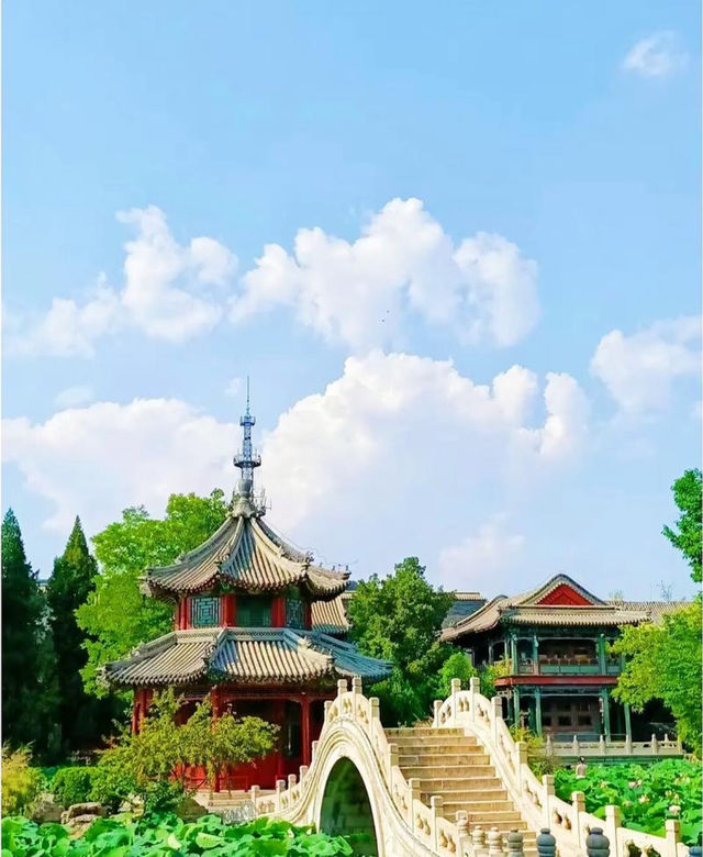 古蓮花池