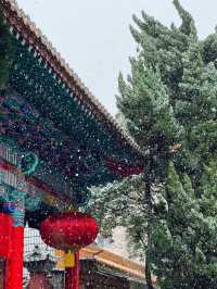 昆明限定雪景圓通禪寺