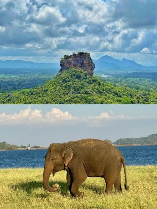 7-Day Sri Lanka Tour | Visa-Free Travel, Easy and Fun