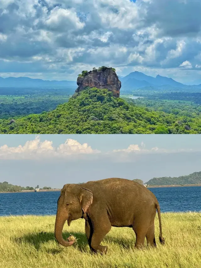 7-Day Sri Lanka Tour | Visa-Free Travel, Easy and Fun