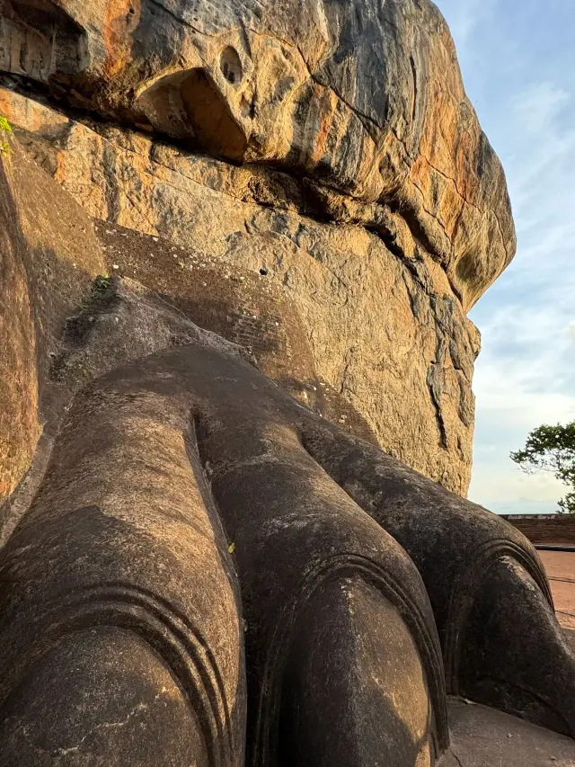 7-Day Sri Lanka Itinerary: A Detailed Guide for First-Time Visitors