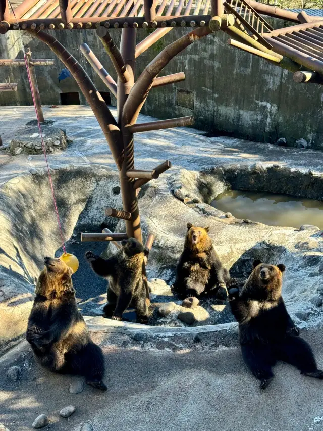 6일간의 일본 여행, 온천 여행을 마음껏 즐기세요