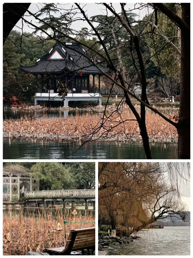 3-Day Winter Vacation in Suzhou, Wuzhen, and Hangzhou: Beautiful Route Recommendations