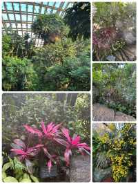 冬日裏的太原植物園