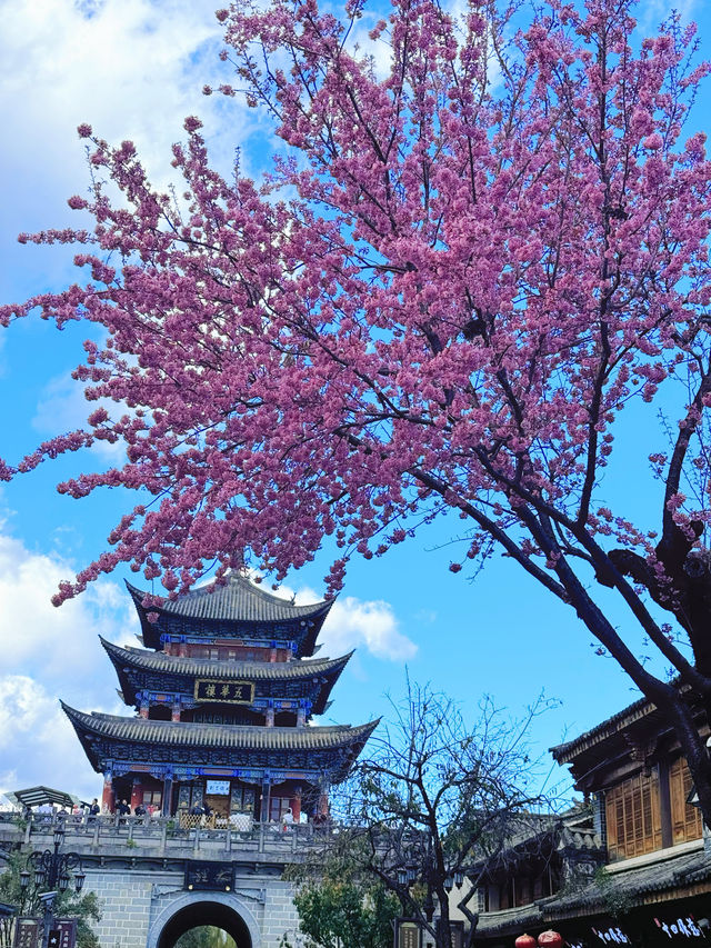 《回隱時光》隨筆