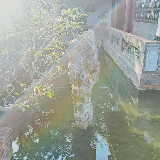 "我在東莞發現了一個隱藏的寶地，竟然這麼美！"