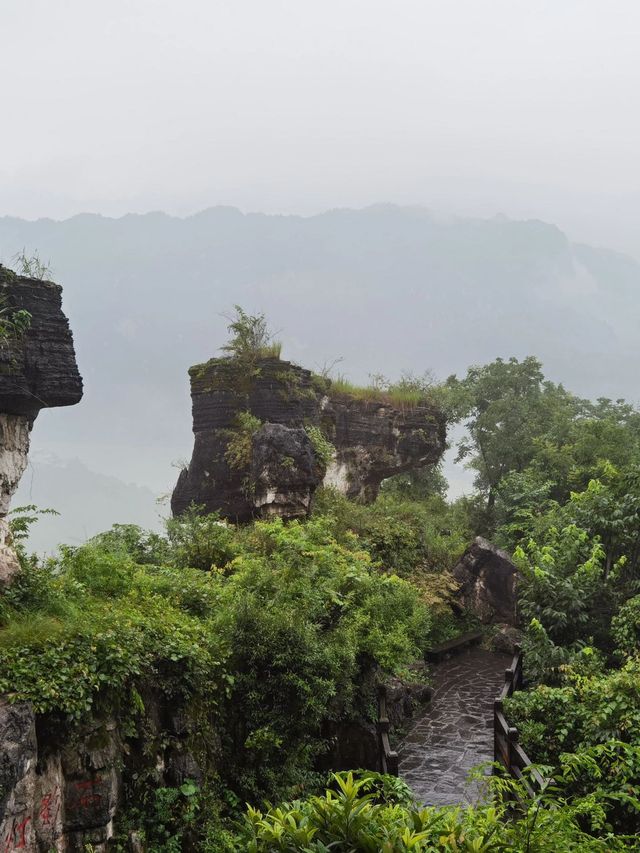 武漢-黃鶴樓-三峽大壩親子遊超詳細攻略不踩雷