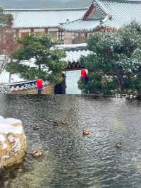 韓國原州市，宛如一顆鑲嵌在江原道的璀璨明珠