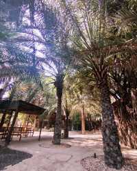 探索阿聯酋哈塔遺產村，解鎖千年文化密碼
