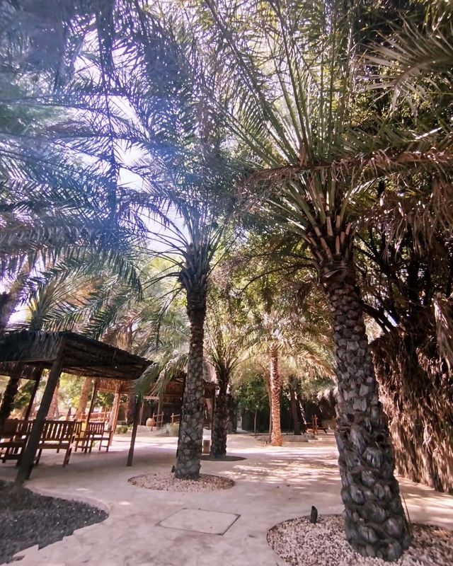 探索阿聯酋哈塔遺產村，解鎖千年文化密碼